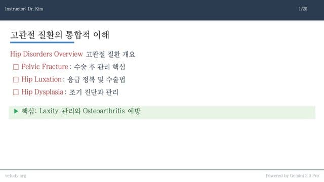 고관절 질환: 탈구부터 이형성증까지