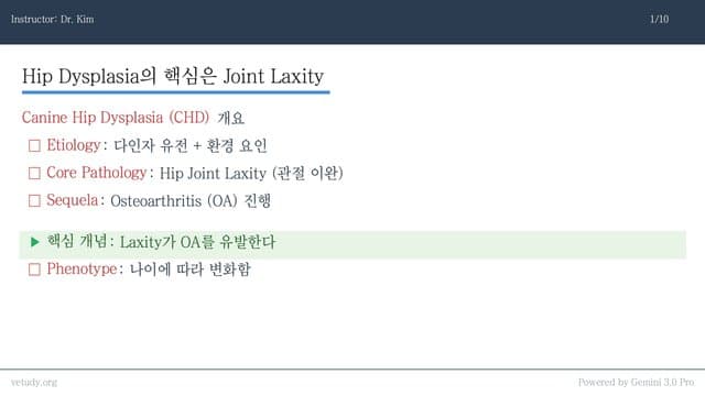 고관절 이형성증: 진단부터 수술적 관리까지