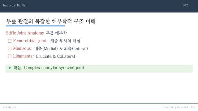 무릎 관절 질환: 진단과 수술적 치료
