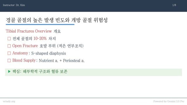 경골 및 비골 골절: 수술적 접근과 고정