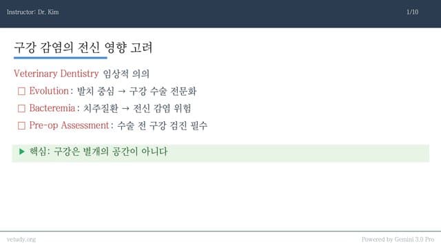 수의치과와 구강수술: 발치부터 골절까지