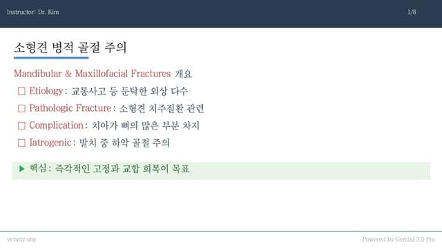 하악 및 상악 골절: 수술적 접근과 고정