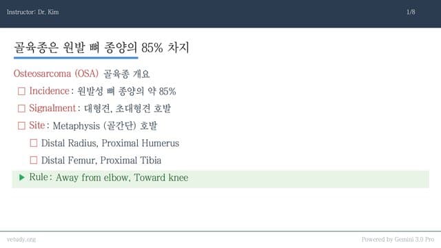 골육종과 근골격계 종양: 진단과 수술적 접근