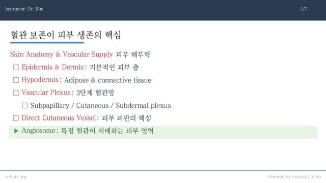 일차 유합과 피부 봉합: 해부학부터 합병증 관리까지