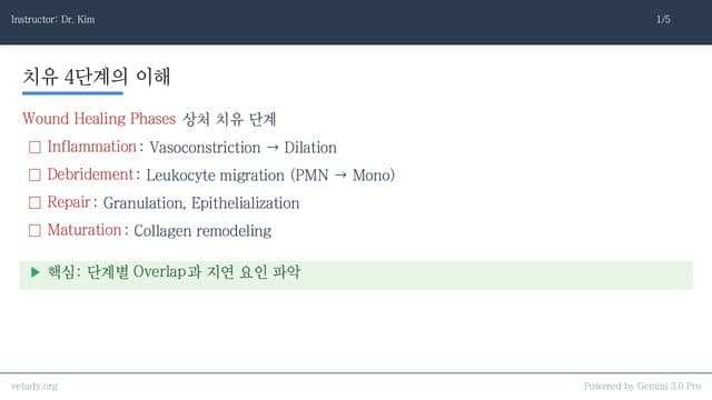 개방 창상 관리: 병태생리부터 NPWT까지