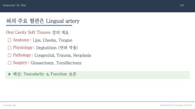 구강 연부조직: 해부학부터 종양 수술까지