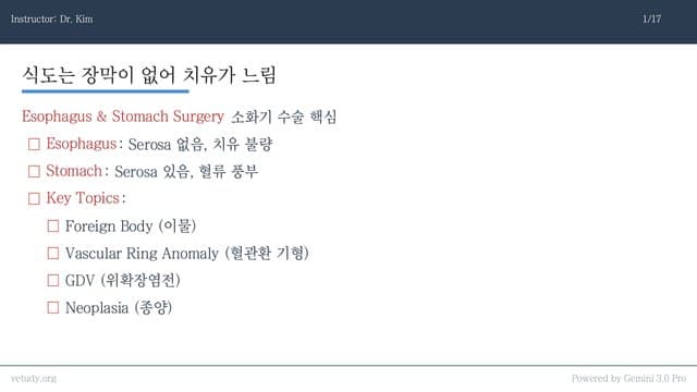 식도와 위 수술: 해부학부터 GDV까지