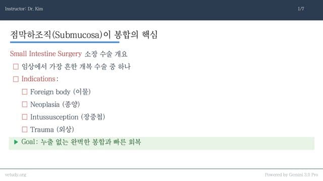 소장 수술의 임상 접근: 해부학부터 합병증 관리까지