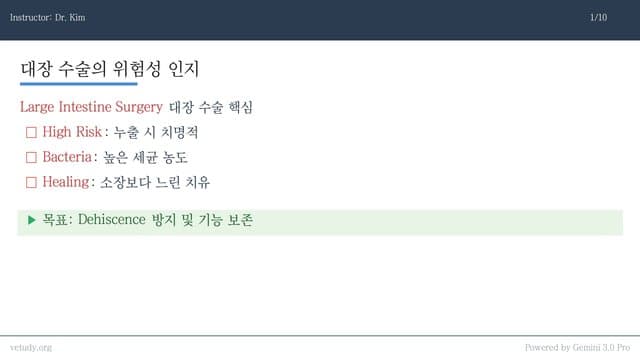 대장 수술과 거대결장: 임상적 접근