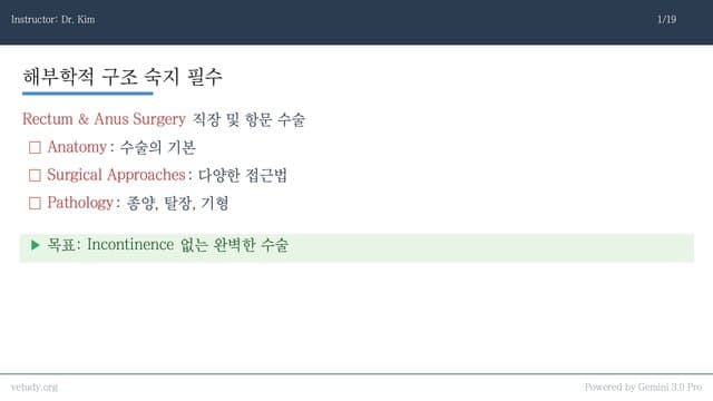직장 및 항문 수술: 해부학부터 탈장 교정까지