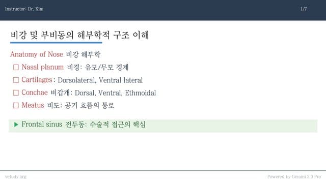 비강 및 부비동 질환: 진단과 치료