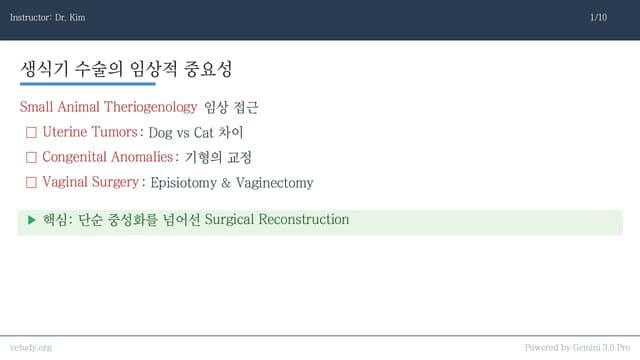 암컷 생식기 질환: 종양부터 재건 수술까지