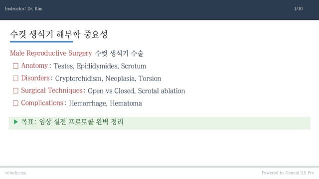 수컷 생식기 수술: 해부학부터 합병증까지
