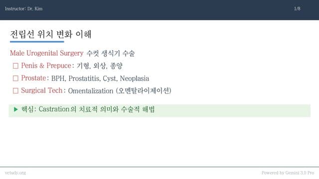 수컷 생식기 질환: 음경과 전립선 수술
