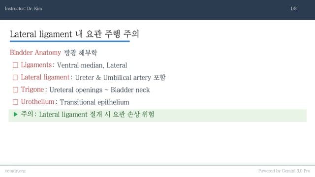 방광 수술과 질환의 임상 접근