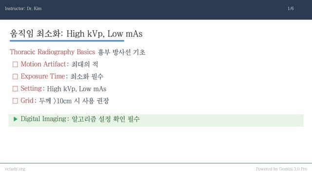 흉부 방사선: 판독의 원칙과 함정