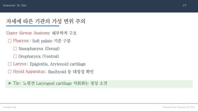 상부 호흡기: 인후두와 기관의 영상 진단