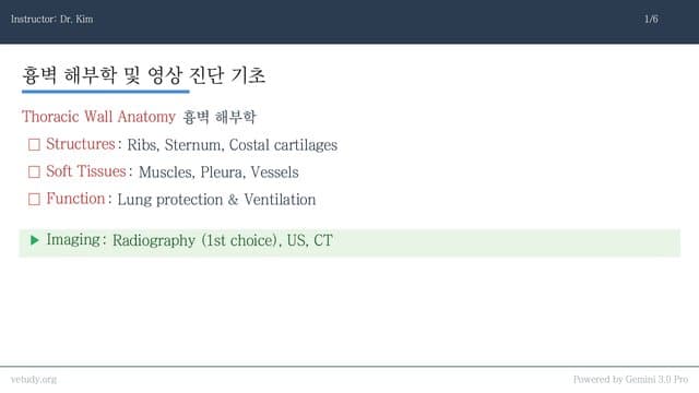 흉벽 질환: 해부학부터 종양까지
