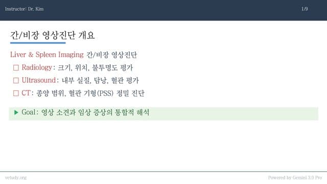 간과 비장의 영상진단: X-ray부터 CT, 초음파까지