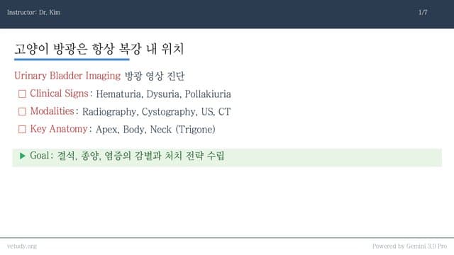 방광 및 요도 질환: 영상 진단과 임상 접근