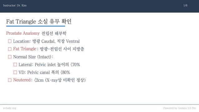 전립선 질환: 영상 진단과 임상 접근